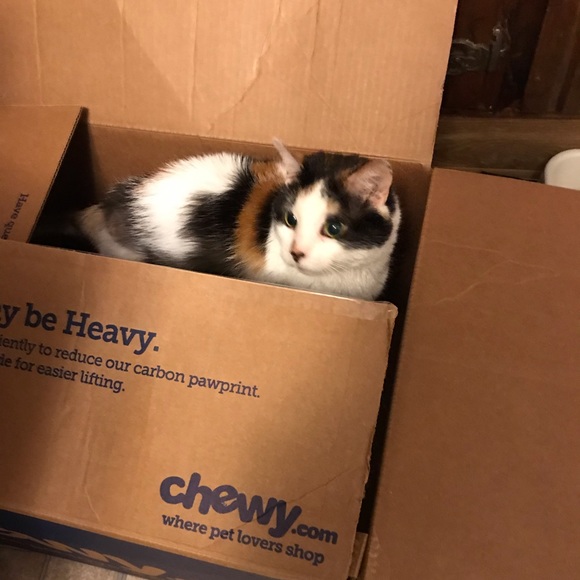 Meet your Posher, Tracy - Picture 6 of 12